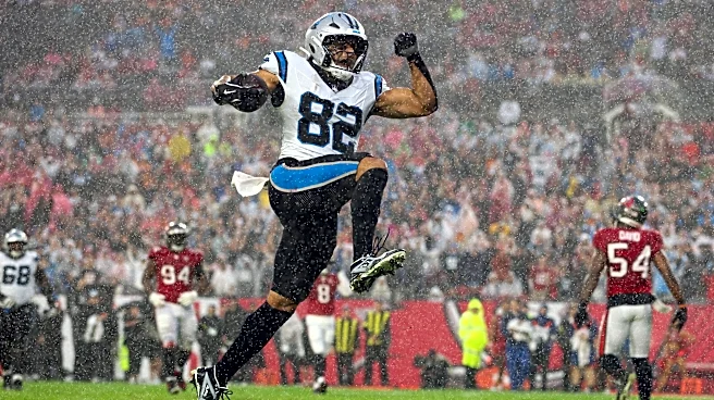 Carolina’s Cap Comparison: Tight Ends