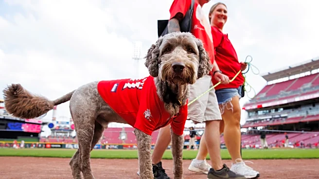 Reds blow game five different ways in crushing loss to Nationals