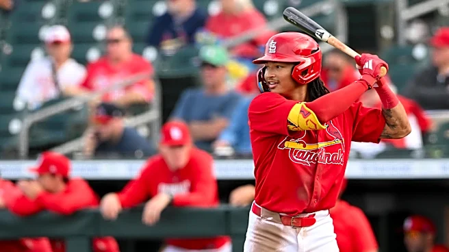 Checking in on St. Louis Cardinals hitting prospects – Lower Minors