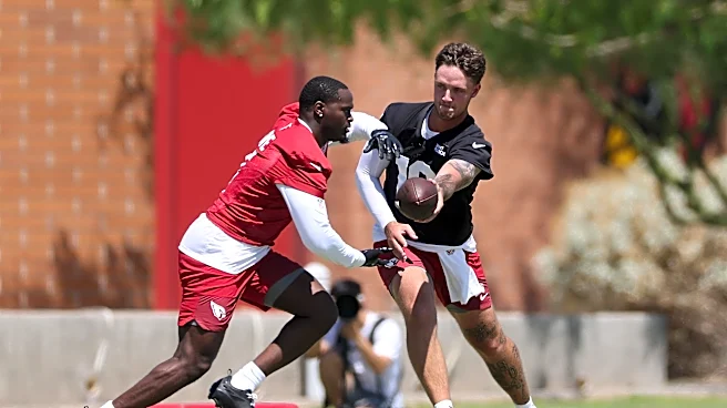 NFL schedule 2026: Instant predictions for the Cardinals’ games