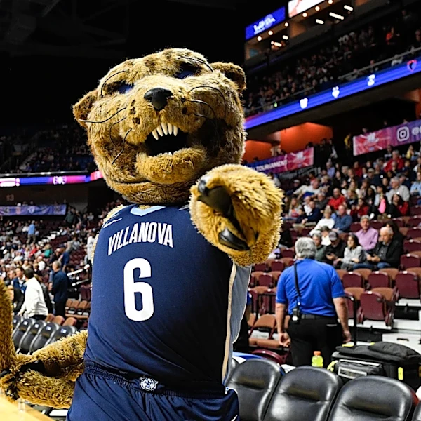 The Wildcats are being connected to a new high school center
