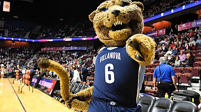 The Wildcats are being connected to a new high school center