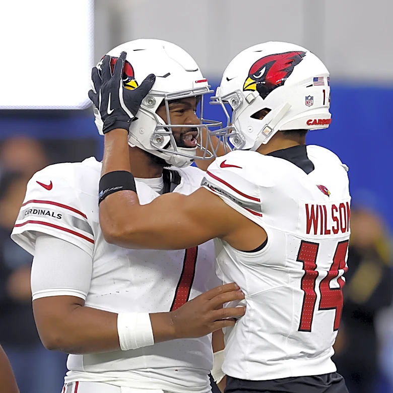Arizona Cardinals are underdogs in every single game