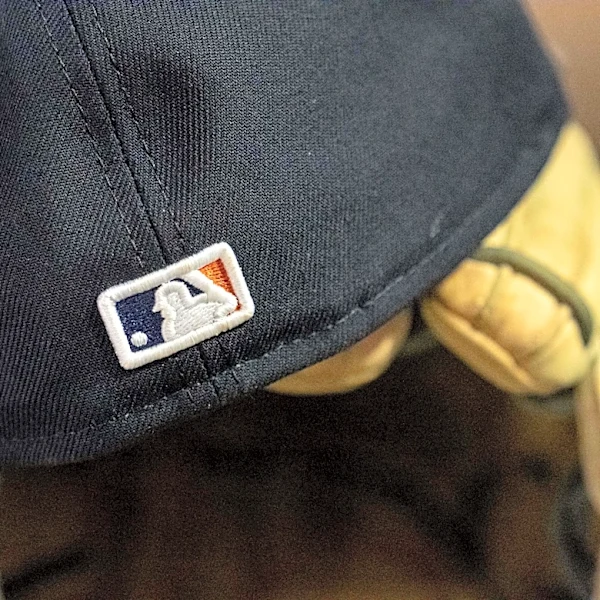 Game #46 GameThread: Jays @ Tigers