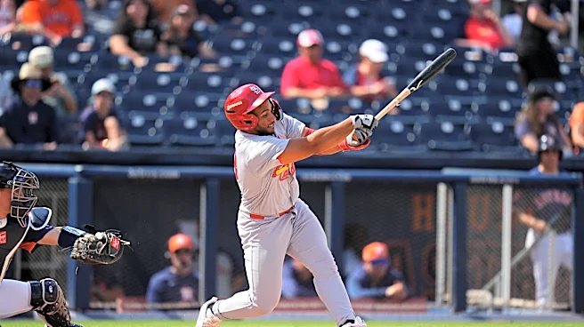 Cardinals Minor League Risers That Could Change Everything (feat. Kyle Reis)