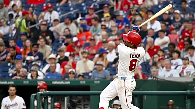 Jose Tena packs a big punch in a small frame for the Washington Nationals