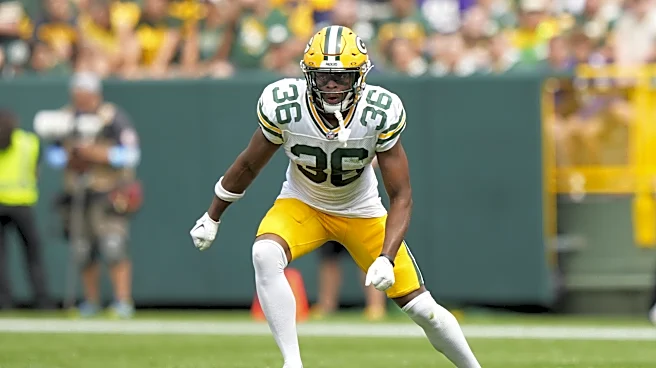 Bears sign veteran safety Anthony Johnson Jr.