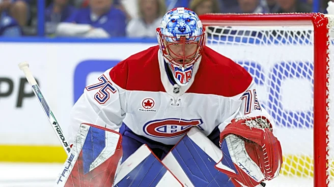 Former Buckeye Jakub Dobeš has been one of the brightest stars in the NHL Playoffs