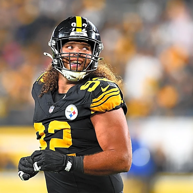 Former Steelers defensive lineman signs with Minnesota Vikings