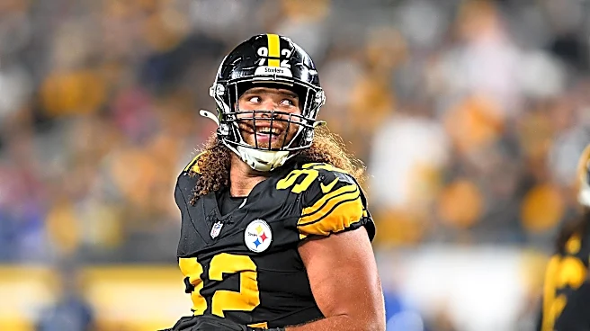 Former Steelers defensive lineman signs with Minnesota Vikings