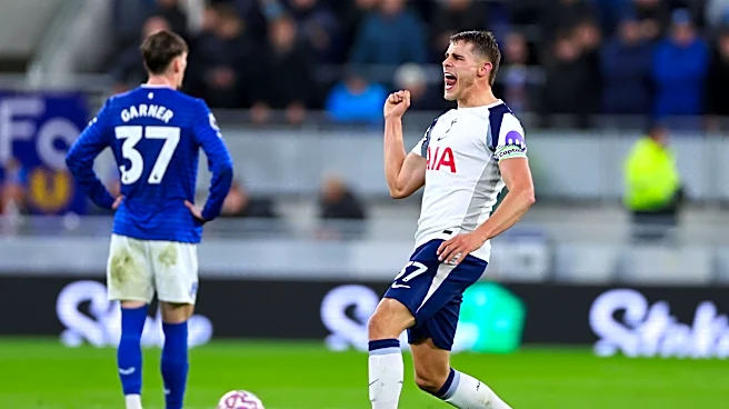 Tottenham Hotspur vs. Everton Preview: No words