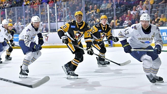 AHL Playoff Update: WBS falls in Game 4