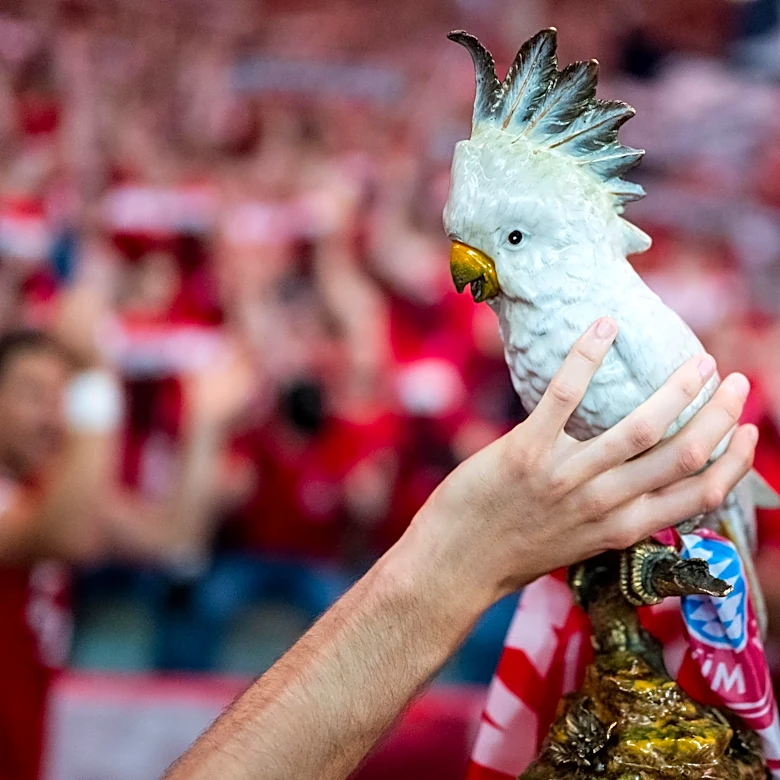 All hail the cockatoo: Konrad Laimer says Bayern Munich won the DFB-Pokal for the bird
