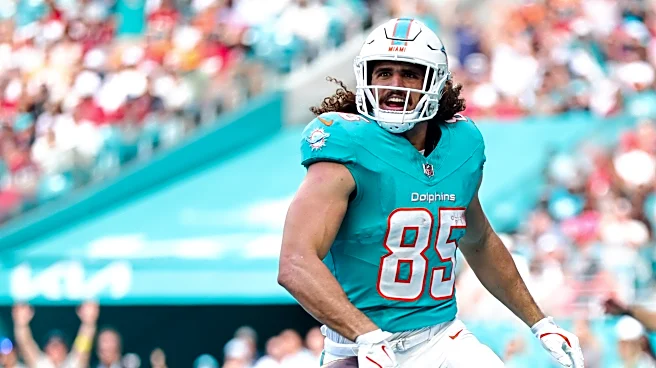 Dolphins supporting cast – The Splash Zone 5/25/26