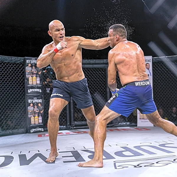 Junior dos Santos vs. Fabricio Werdum grappling match announced for August in Brazil