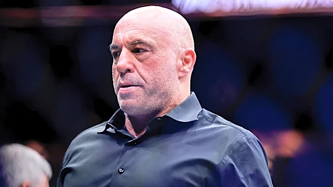 Joe Rogan is stressed out about UFC White House event: ‘How are you gonna stop the bugs?’