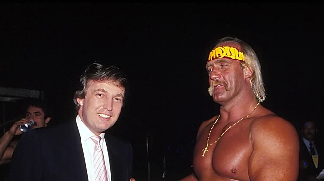 Donald Trump’s Hulk Hogan tribute goes awry