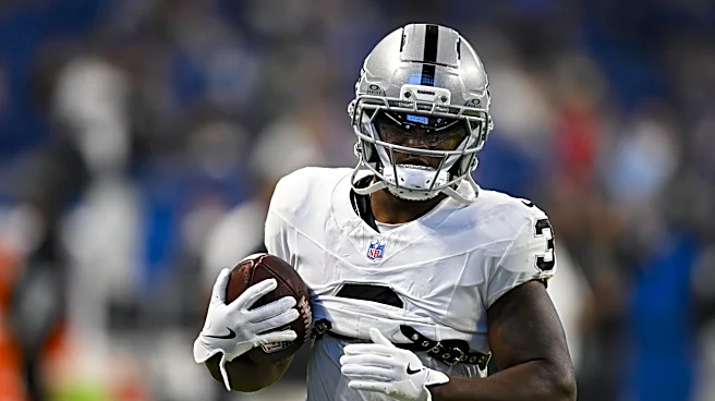Dolphins work out free agent running back