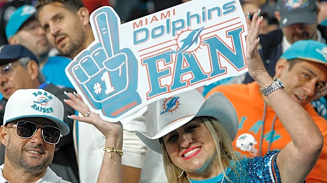 Miami Dolphins Fans Arguments For Being A Fan Of The Team
