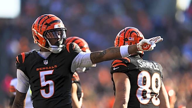 Bengals News (5/29): Tee Higgins sees himself in Colbie Young