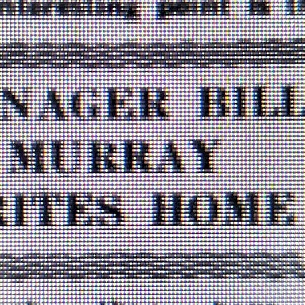 On This Day (31 May 1955): “Murray’s Latest Letter From America”