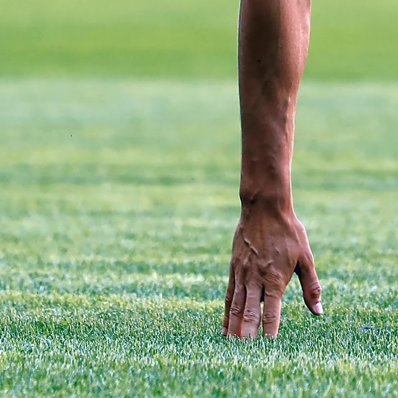 Bavarian Grass Works: Allianz Arena goes bald for summer concert series