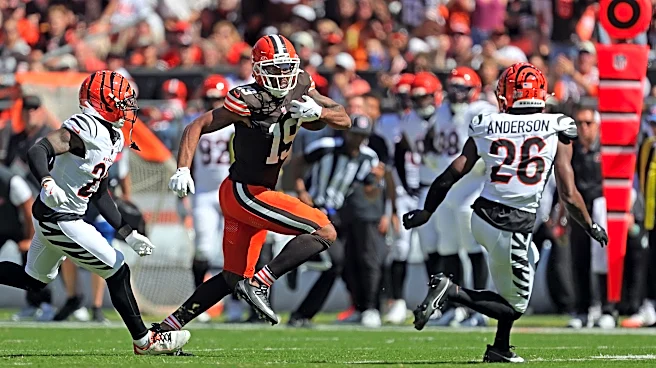 Daily Dawg Chow (6/1): The seat is hot for these veterans