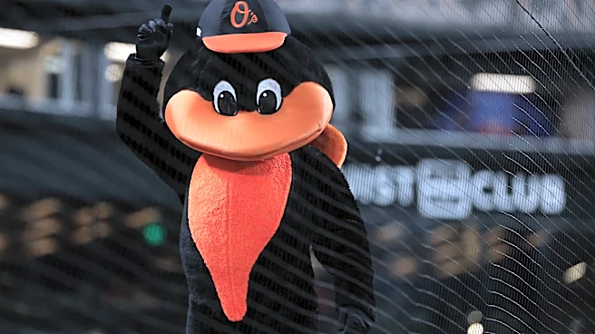 Orioles minors weekly recap: Dzierwa strikes out more in AA