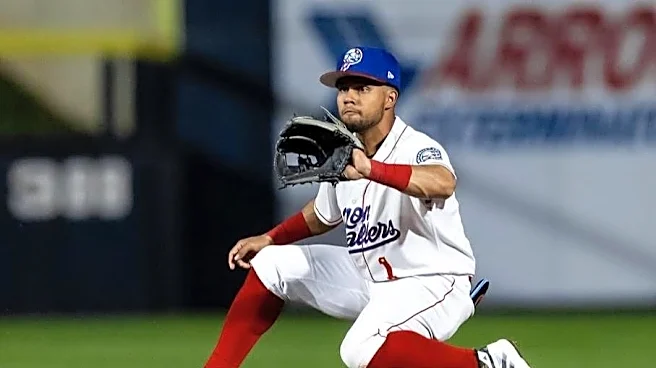 White Sox Minor League Update: June 2, 2026