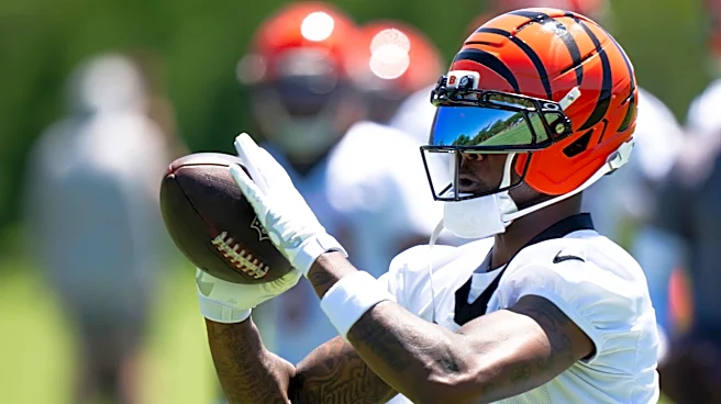 Tee Higgins says the only thing left to accomplish is ‘winning championships’