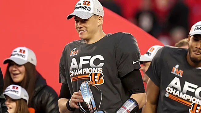 Is this a Super Bowl or bust year for the Cincinnati Bengals?