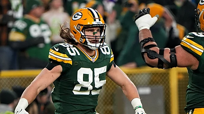 Steelers sign former Packers TE Robert Tonyan