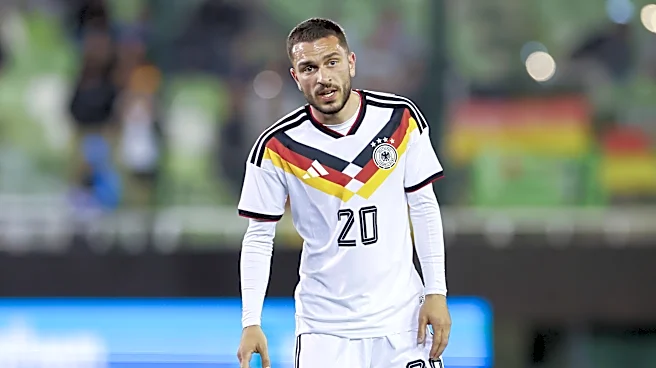Three reasons why Bayern Munich should (and two reasons why they should not) bring Arijon Ibrahimović back