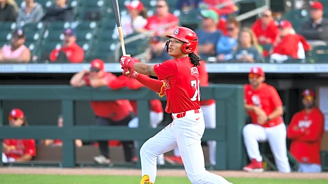 How big is the donut hole in the St. Louis Cardinals development pipeline?