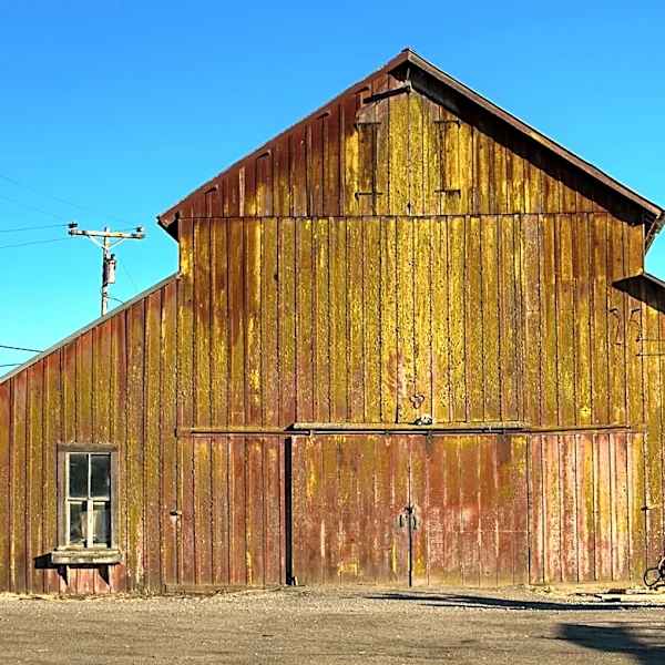 The Link Farm: 6.5.26