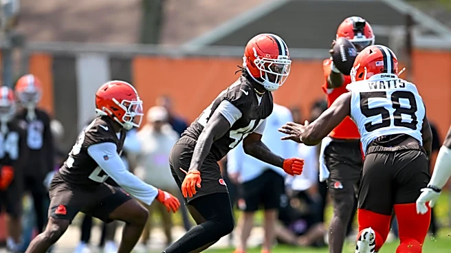 Saturday Dawg Chow (6/6): The young and (hopefully) the restless