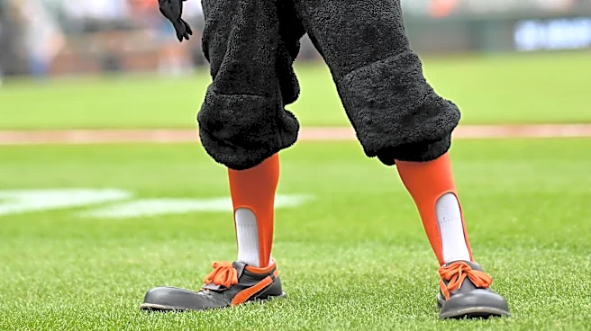 Orioles minor league recap 6/6: Pitching struggles everywhere but Delmarva