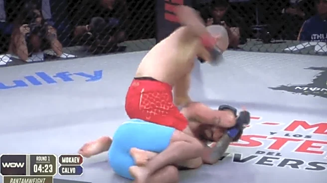 Highlights: UFC pariah Muhammad Mokaev annihilates opponent in 42 seconds at WOW 31 | Video