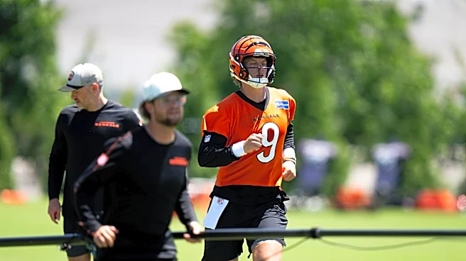 Bengals News (6/8): More positive predictions for Cincinnati