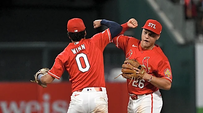Looking at St. Louis Cardinals position player depth