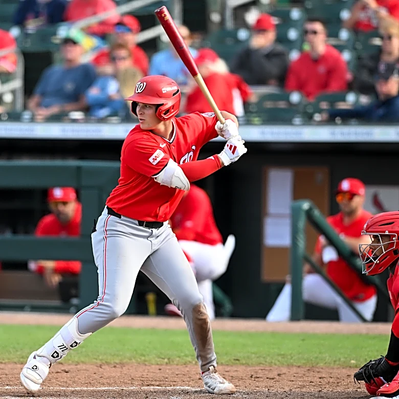 The Nationals make a flurry of promotions including Eli Willits and Devin Fitz-Gerald