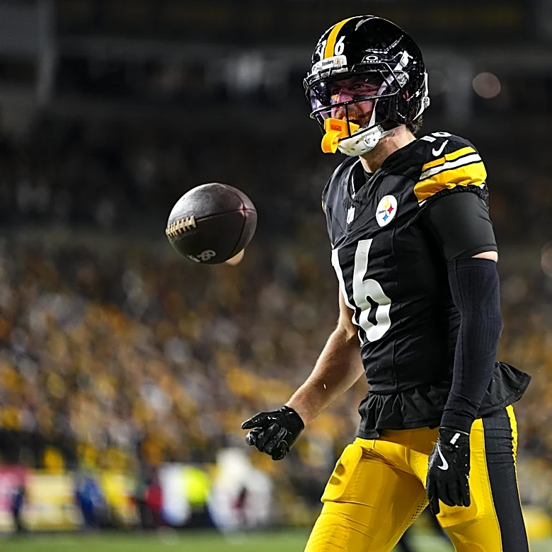 Recently retired Steelers WR praises Aaron Rodgers