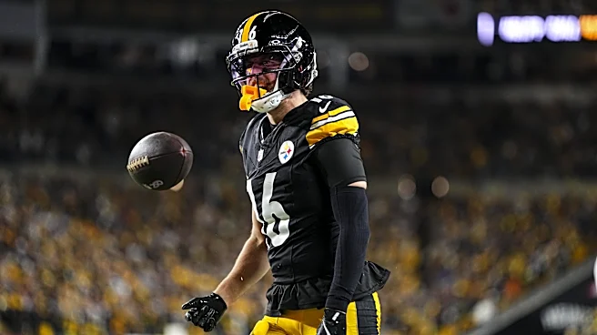 Recently retired Steelers WR praises Aaron Rodgers