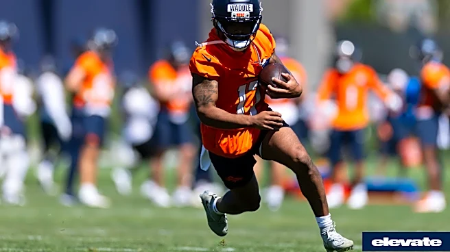 Horse Tracks: Waddle making an early impact
