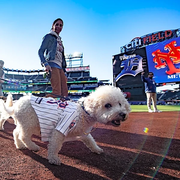 Mets Morning News: Home Sweet Home