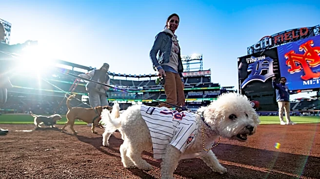 Mets Morning News: Home Sweet Home