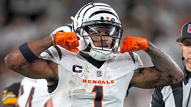 2026 AFC North Positional Rankings: Wide Receiver