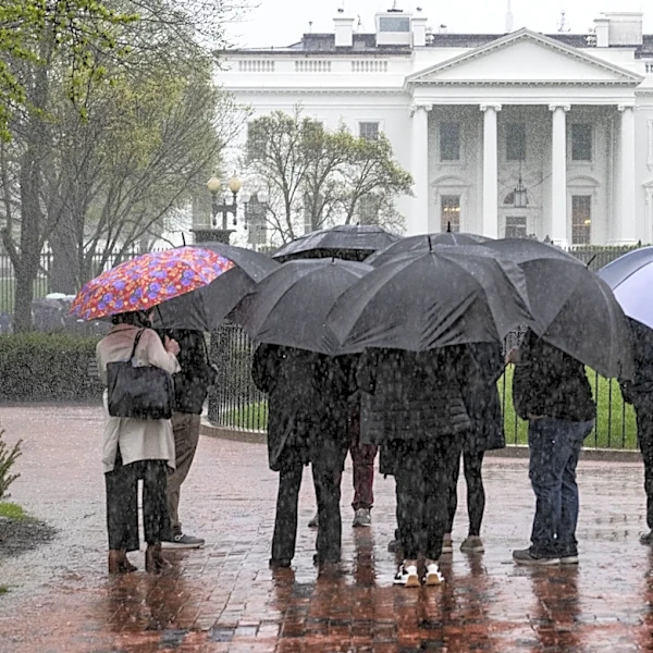 Will UFC White House get canceled? Bookies set odds on wonky weather, federal lawsuit