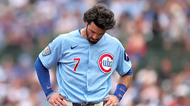 The Short Porch is checking in on Dansby Swanson’s bat