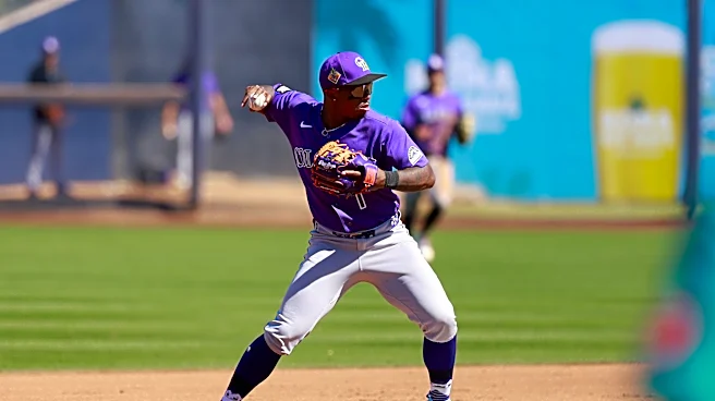 What do the Rockies do with Adael Amador?